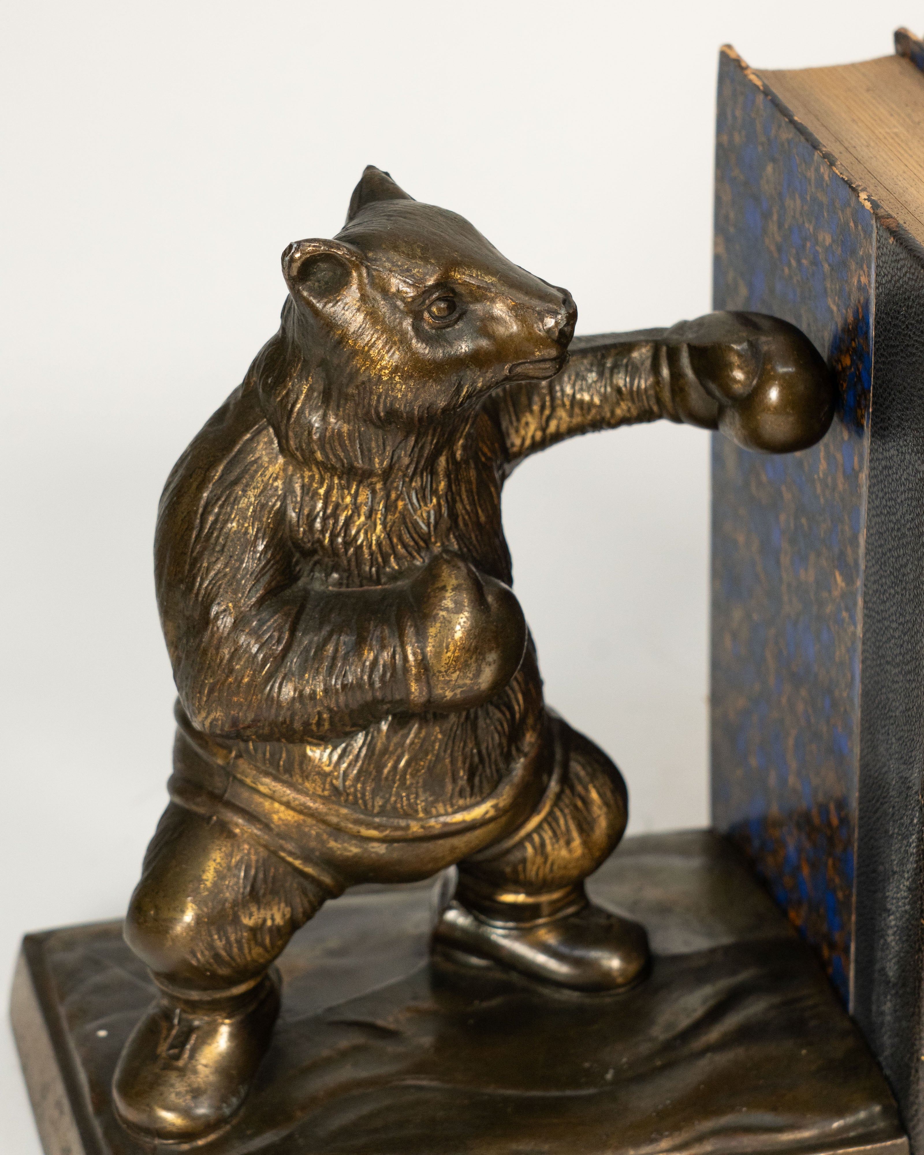 Appuis-livres Bear & Bull - marché bousier