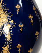 Paire de vases français dans l'esprit de Sèvres