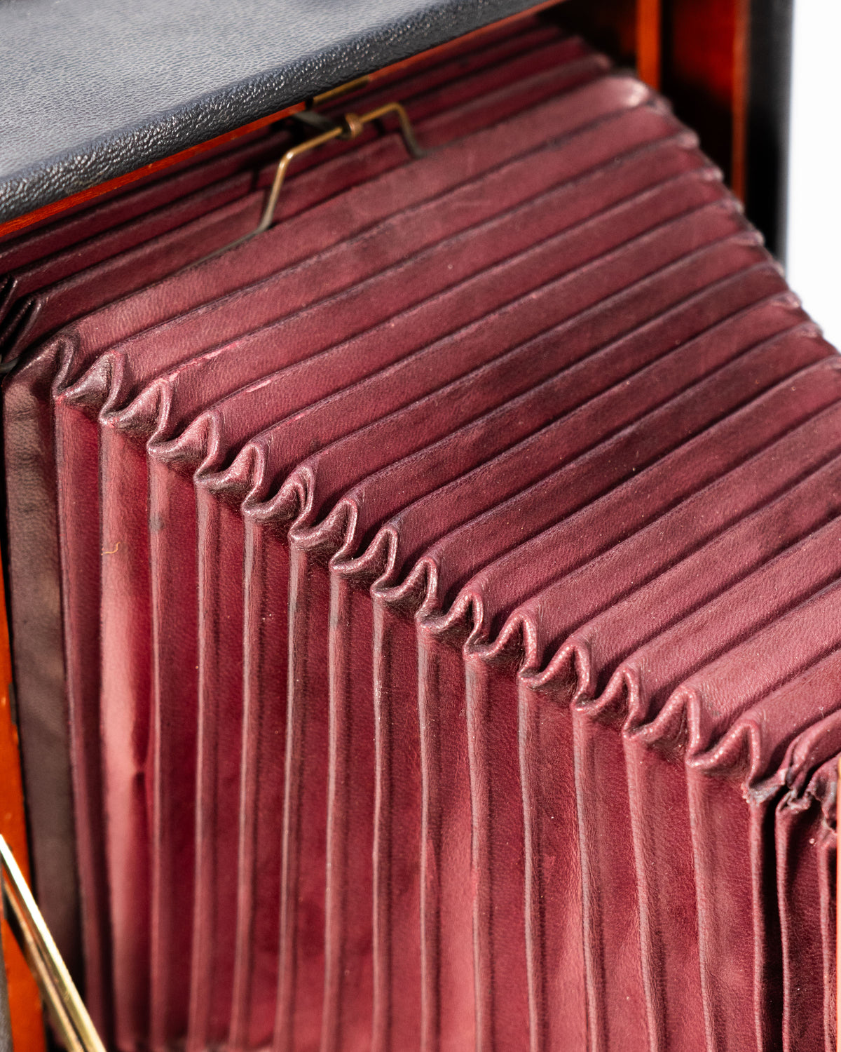 Caméra grand format Rochester Optical Co. – Modèle Reversible Back Premo, circa 1896–1900