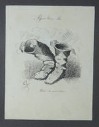 gravure_edmond_joseph_0682